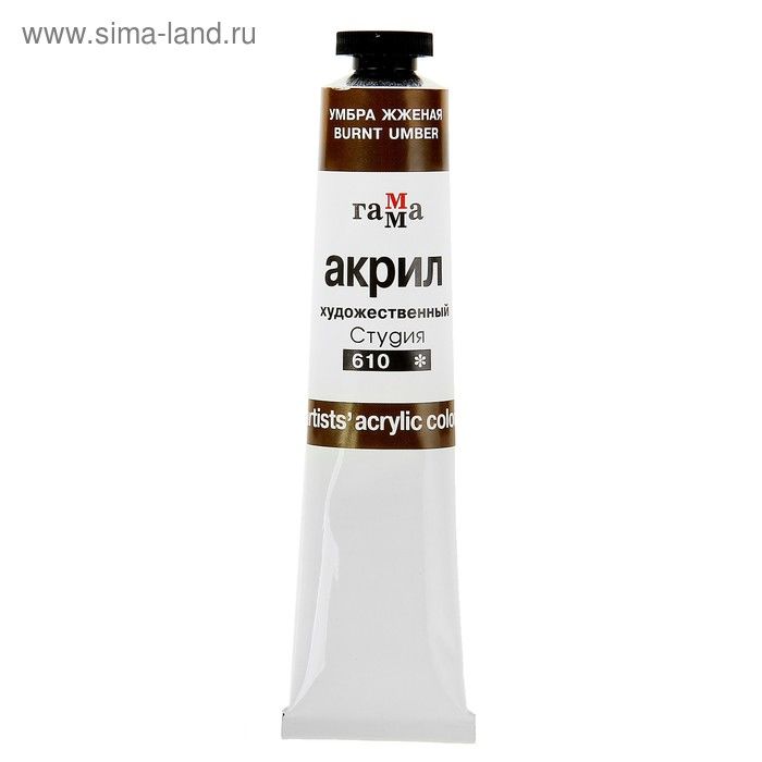 Акрил худ.УМБРА ЖЖЕНАЯ 46мл, 0.40.А046.610