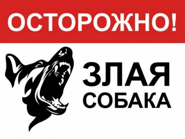 Наклейка "Осторожно! Злая собака", 20х30 см, горизонт., арт. KZ-25802
