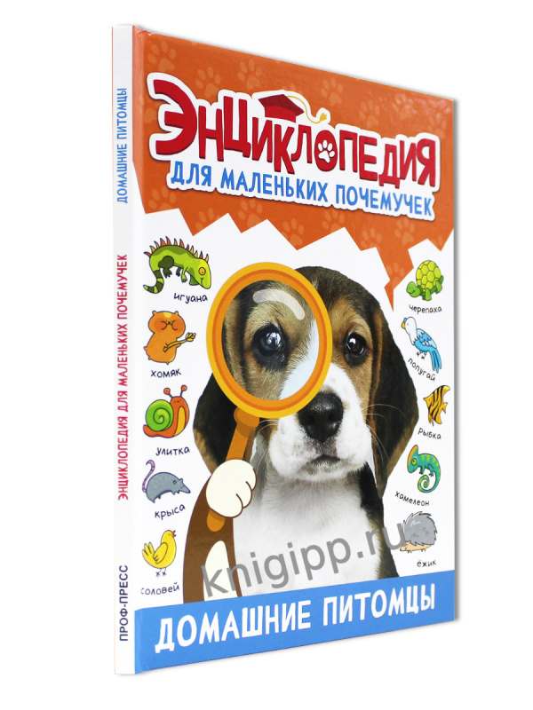 ЭНЦИКЛОПЕДИЯ ДЛЯ МАЛЕНЬКИХ ПОЧЕМУЧЕК. Домашние питомцы