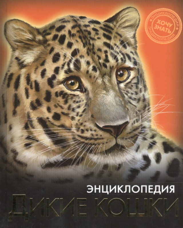 ЭНЦИКЛОПЕДИЯ. ХОЧУ ЗНАТЬ. ДИКИЕ КОШКИ ЭНЦИКЛОПЕДИЯ. ХОЧУ ЗНАТЬ. ДИКИЕ КОШКИ