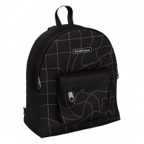 Рюкзак ErichKrause EasyLine® 6L Golden Illusion