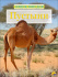 ЭНЦИКЛОПЕДИЯ "ЖИВОТНЫЙ МИР". ПУСТЫНИ