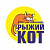 Рыжий кот